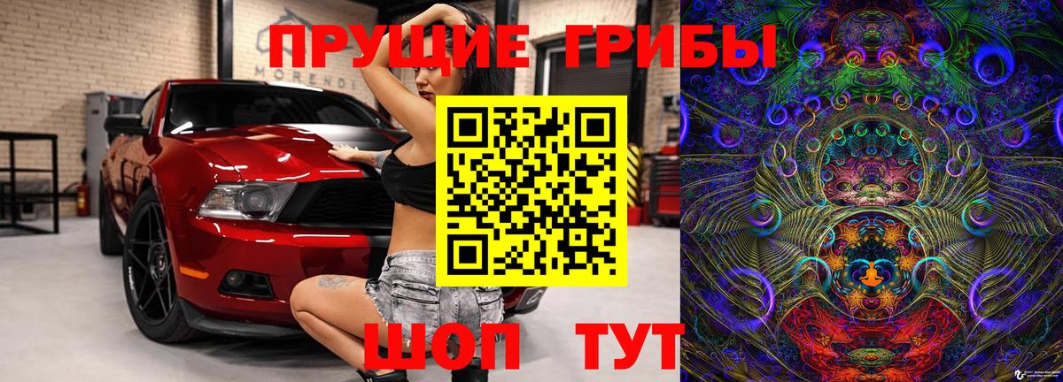 купить наркоту  Галлюциногенные грибы ЛСД  Вход с VPN  Каменск-Уральский 